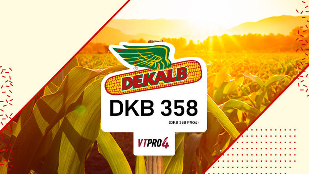 DKB 358 PRO4